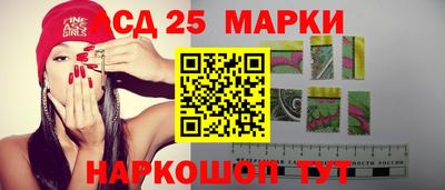apvp Новодвинск