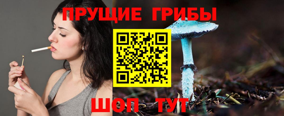 купить закладку  Галлюциногенные грибы Cubensis  Вход с VPN  Тамбов  Псилоцибиновые грибы GOLDEN TEACHER 